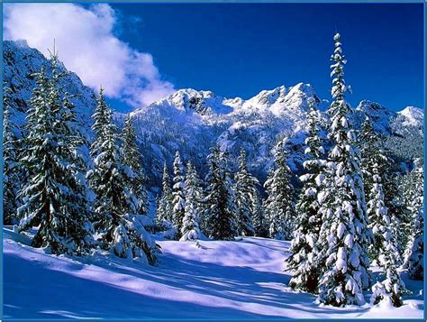 Winter Screensaver Images Download Free