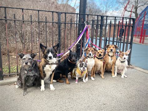 Happy Tails Pet Care