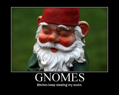 Gnomes Quotes Quotesgram
