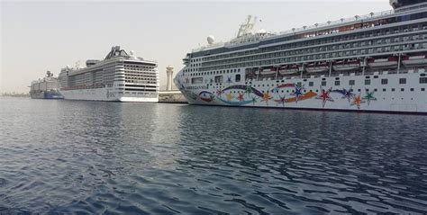 3 Cruise Ships With 6000 On Board Drop Anchor In Aqaba Jordan Times