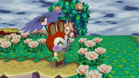Animal crossing new horizons acnh news map town maps. animal crossing gif on Tumblr