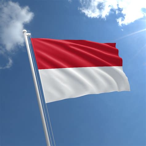 Monaco flag image for printout, free download and activities for students. Monaco Small Flag | Buy Small Monaco Flag | The Flag Shop