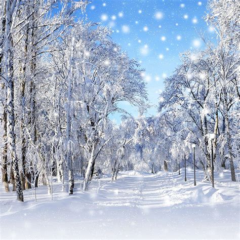 Winter Wonderland Backdrop Scenes
