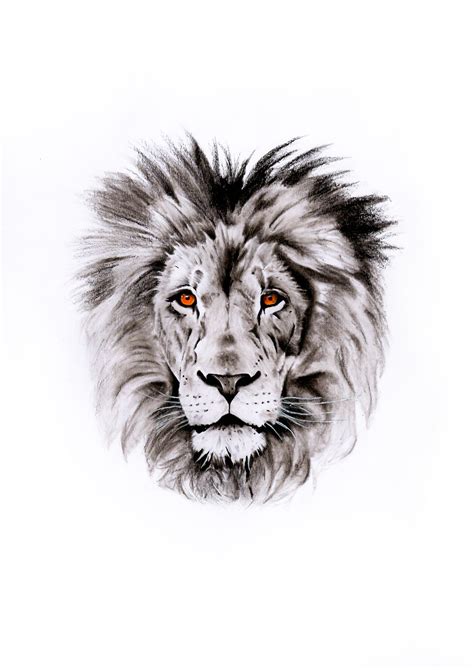 Lion Charcoal Drawing Lion Tattoo Lion Head Tattoos Lion Tattoo On