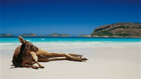 Australian Beach Wallpapers Top Free Australian Beach Backgrounds Wallpaperaccess