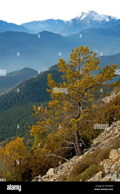 Pyrenees Mountain Hi Res Stock Photography And Images Alamy