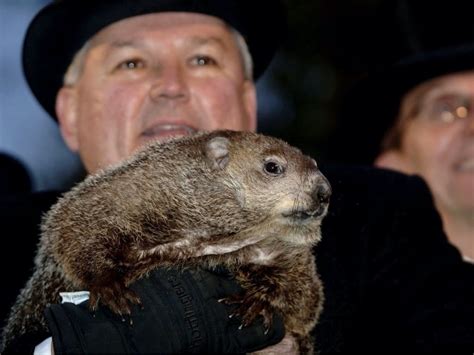 Groundhog Day 2021: When Will Spring Weather Come To Reston | Reston
