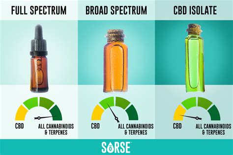 Full Spectrum Broad Spectrum And Isolate Cbd Whats The Difference