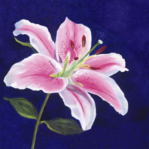 Painted Lily Lilies Drawing Lily Painting Flower Art Painting