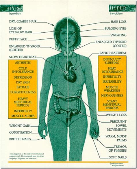 Disorders Of Thyroid Medatrio