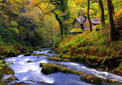 House Near Forest Stream Hd Wallpaper Background Image