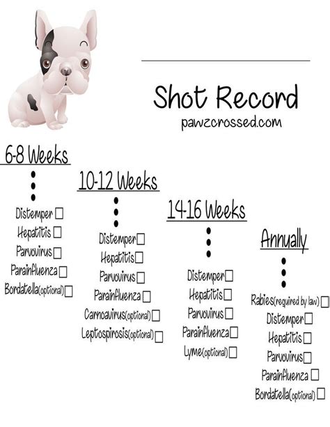 Curious how many sets of shots do puppies need? Keep your new puppy up to date on his shots with this shot ...