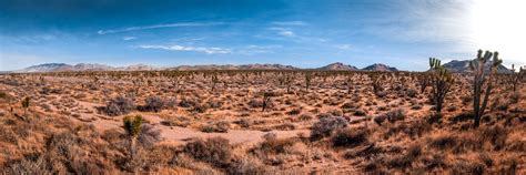 The Arid Desert Landscape Of Californias Mojave National Preserve