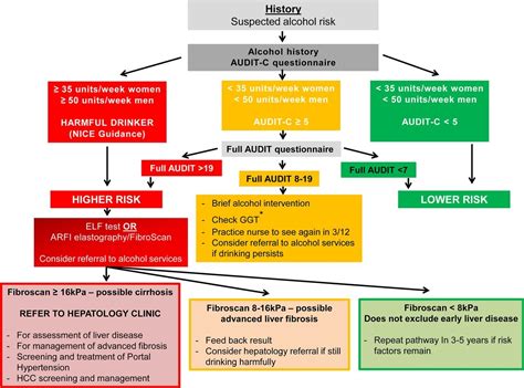 Alcohol Related Liver Disease Arld — Gpraj