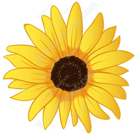 Sunflower Free Sunflower Graphics Free Download Clip Art On 2 Wikiclipart
