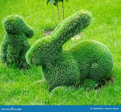 Topiary Sculpture Of A Hare Rabbit Made Of Artificial Grass Stock Photo