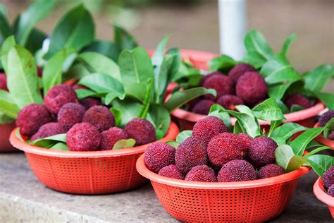 25 Exotic Asian Fruits To Try On Your Next Trip To The Region Or Grocer