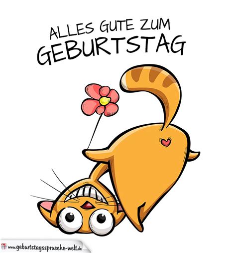 Alles Gute Zum Geburtstag Karte Mit Witziger Katze