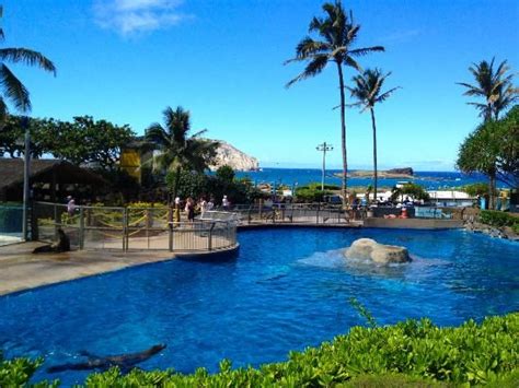 Sea Life Park Hawaii View From The Food Area The Sea Lions In The