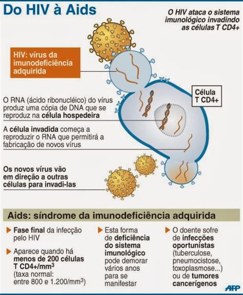 Endemia Epidemia E Pandemia Infográficos