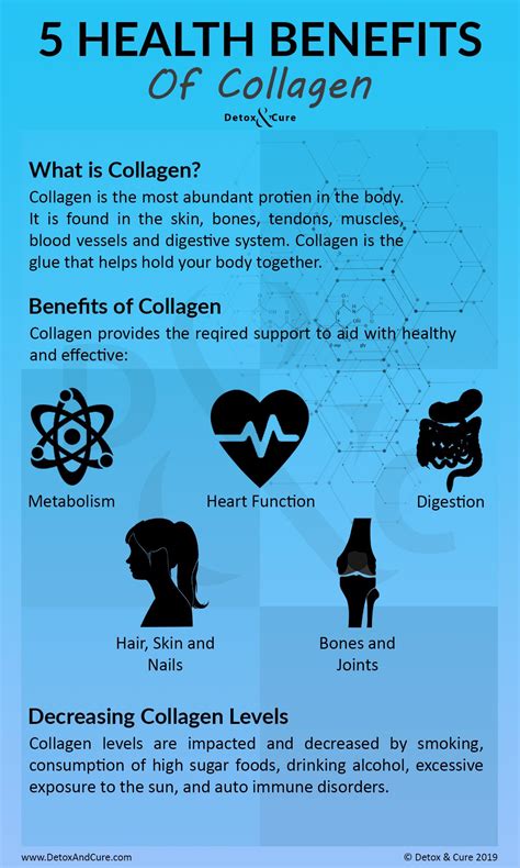 5 Health Benefits of Collagen | Collagen benefits, Health benefits of collagen, Younger skin