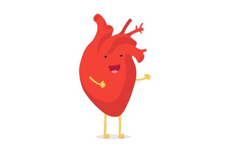 Cute Cartoon Smiling Healthy Human Heart Character Happy Emoji Emotion
