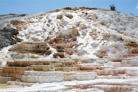 Mammoth Hot Springs Hot Springs Wyoming United States Britannica