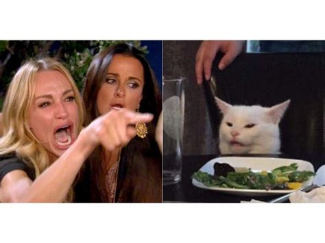 Woman Yelling At Cat How Smudge The Cat Became The Best Meme Of 2019