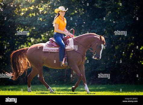 Criollo Rider Con La Joven Yegua Castaña Galopando En Una Pastura