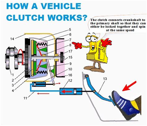Vehicle Clutch Construction Car Anatomy In Diagram