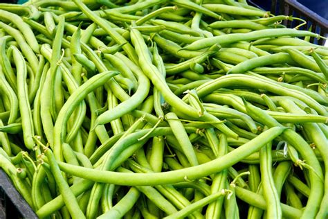 String Green Beans Free Stock Photo Public Domain Pictures