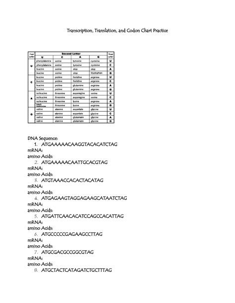 (rna synthesis proceeds in a 5' à 3' direction, so the template strand and the mrna will be complementary to each other). 11 Best Images of Codon Worksheet Answer Key - DNA ...