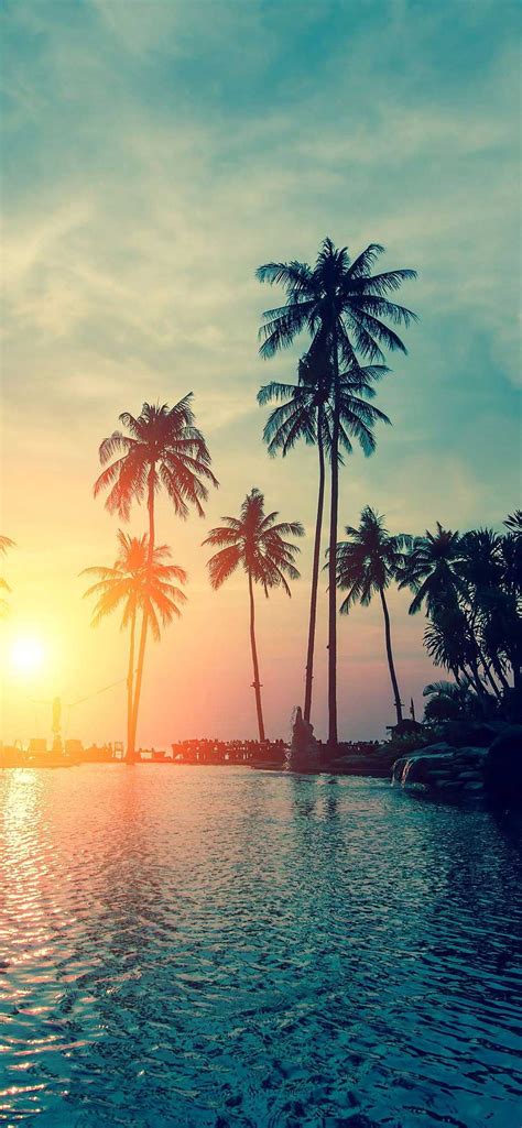 Iphone Wallpaper Sunset Palm Trees Tropical Beach Hd Hd In 2020 Beach