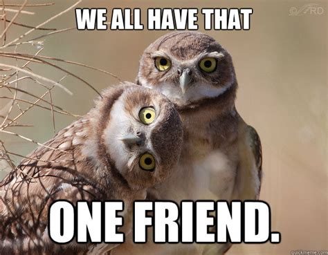 We All Have That One Friend Confused Owl Quickmeme