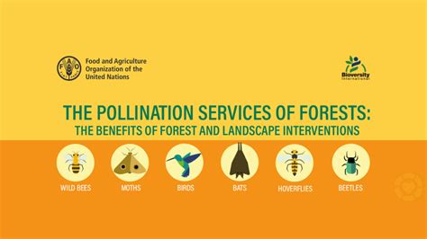 The Pollination Services Of Forests Infographic Ecogreenlove