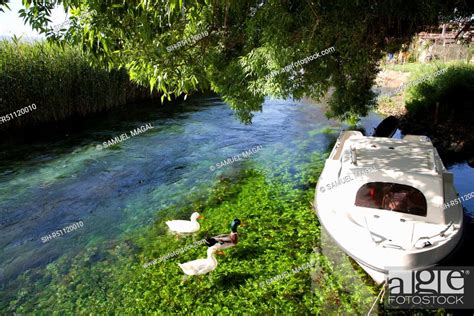 Turkey Akyaka Azmak River Boat And Ducks Stock Photo Picture And