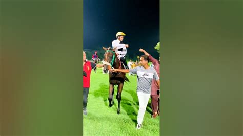 Awais Anjum Horse Shortvideos Horselover Horseriding Viralvideos