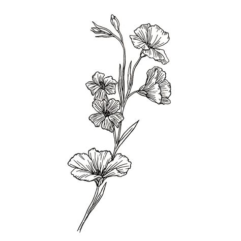 Black And White Botanical Collection — Anna Farba Illustration