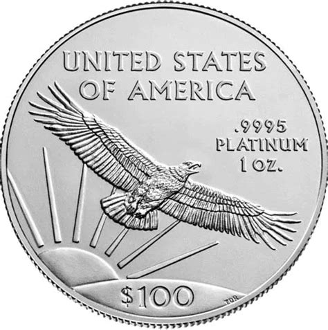 Buy 110 Oz Platinum American Eagles Varied Year Guidance Corporation