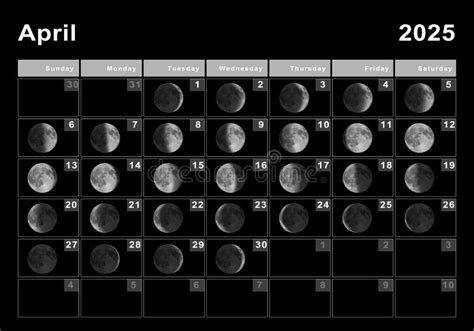 April 2025 Lunar Calendar Moon Cycles Stock Photo Image Of Cycle