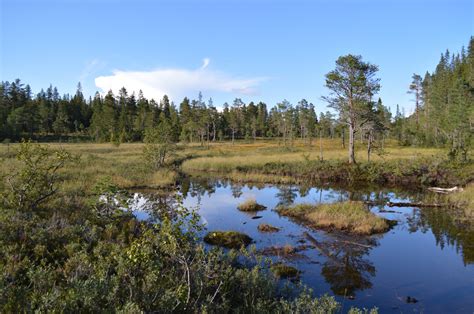 Wallpaper Sunlight Landscape Lake Reflection Grass Sky Norway