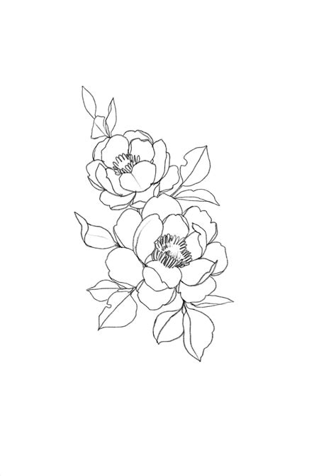 Draw flowers drawing art museum drawing png download 500 simple hand drawn trendy line silhouette woman modern polygonal minimalist line drawing flower shop logo line Aesthetic clipart minimalist pictures on Cliparts Pub 2020!