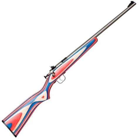 Crickett Red White And Blue Laminate Stock Stainless Compact Rifle 22