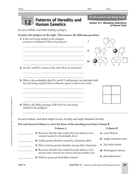 Patterns Of Inheritance Worksheet Answers