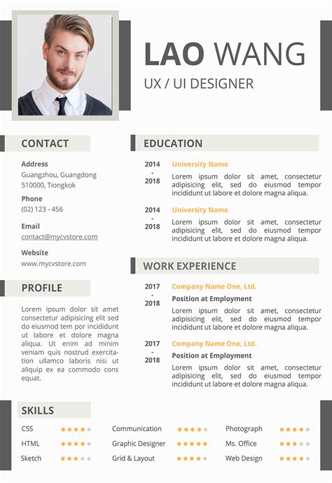 Creative Infographic Resume Download Professional Resume Template