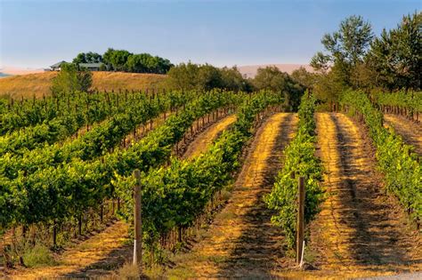19 walla walla wineries you don t want to miss map