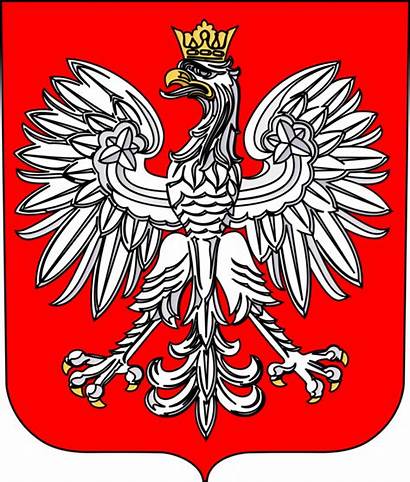 Poland Arms Coat Emblem National Vector Polish