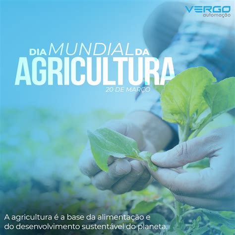 Qual A Importância Da Agricultura No Mundo Atual