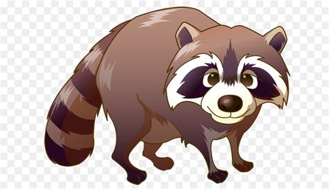 Top 187 Cartoon Pictures Of Raccoons