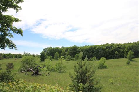 Vacant Land For Sale 120 Acres Elmira Michigan